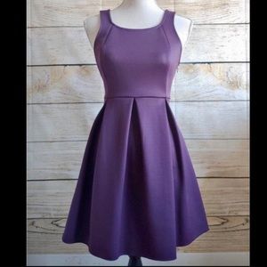 Express Fit & Flare Dress